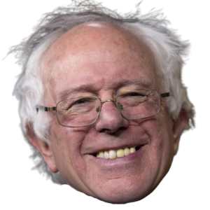 Bernie square Edited
